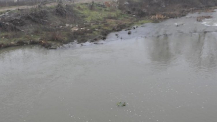 Регистрираха повишено ниво на Дунав и притоците му