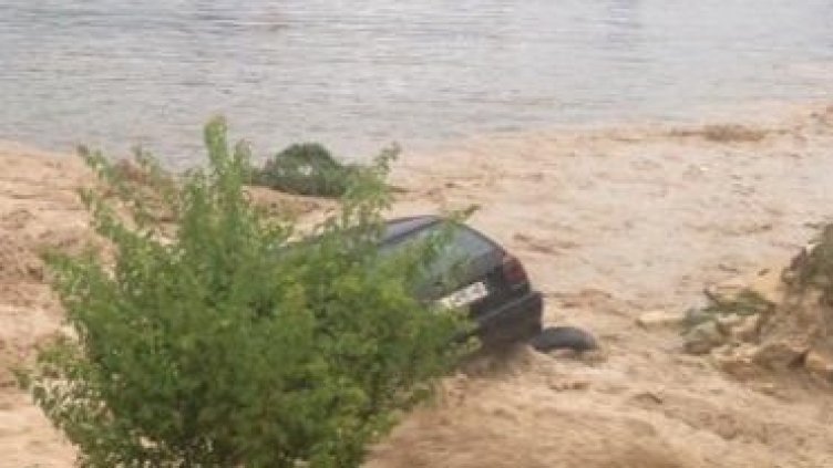 Вълната се появила заради сечта в гората?!