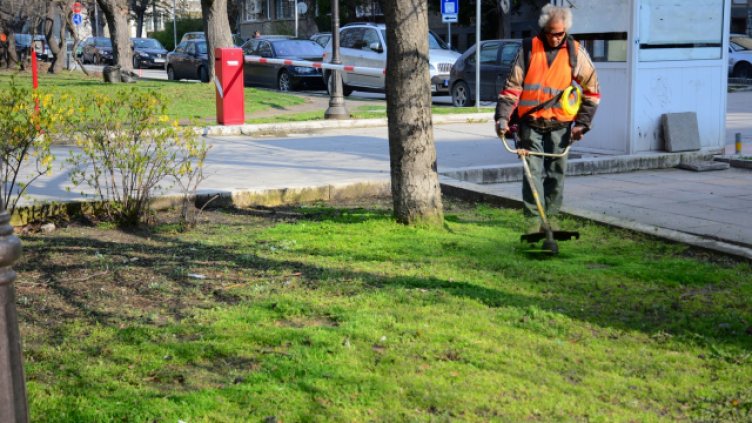 Снимка: Черно море АРХИВ