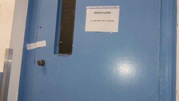 Снимка авторът.