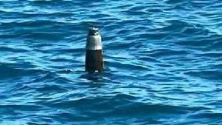 Откриха останки от боеприпас край Камен бряг