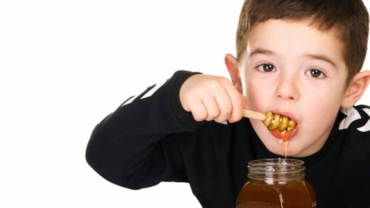 Кампания разкрива на учениците ролята на пчелите