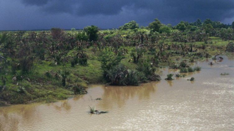 Циклон уби 38 души и рани други 180 в Мадагаскар