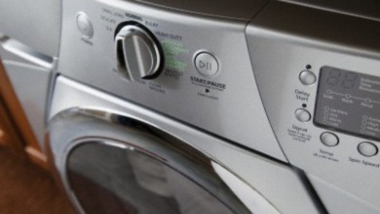 Американка изпра змия, влечугото здраво и чисто