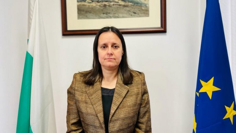 Рокада: Уволниха шефката на ДНСК