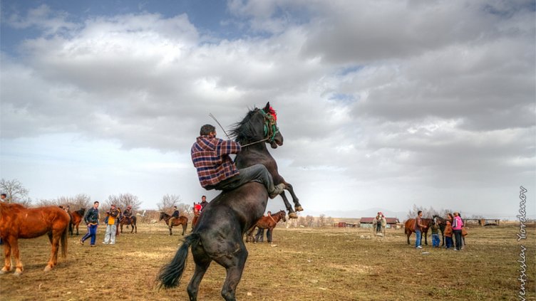 Кон прегази зрител на кушия край Крайници