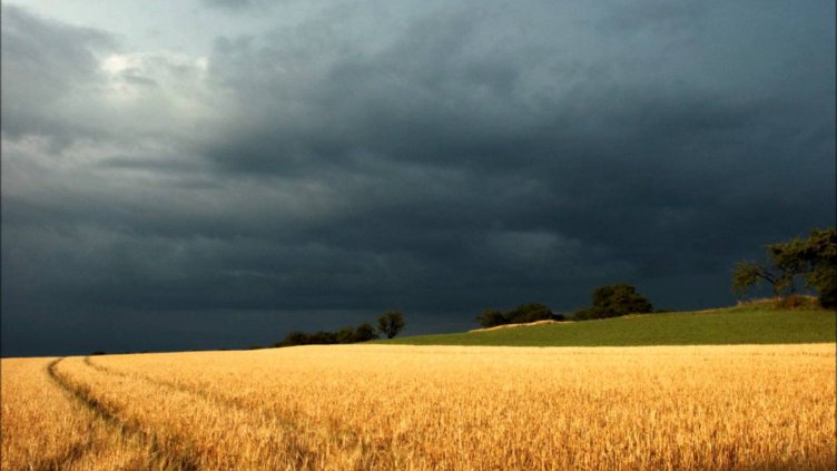 Застрахователи и фермери ще дават близо 20 млн. лв. годишно за защита от градушки