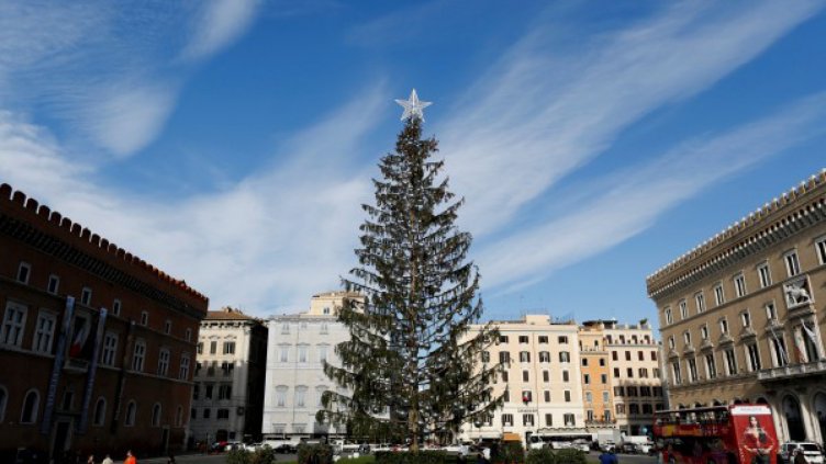 Проскубаното коледно дърво на Рим става заслон за кърмачки