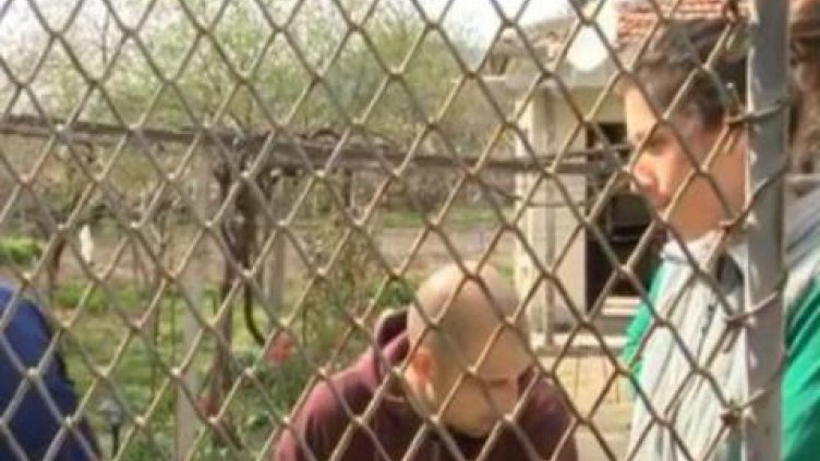 Подробности за закланата магазинерка