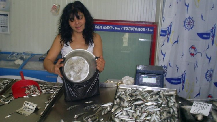 Варненци все още се радват на евтина прясна риба