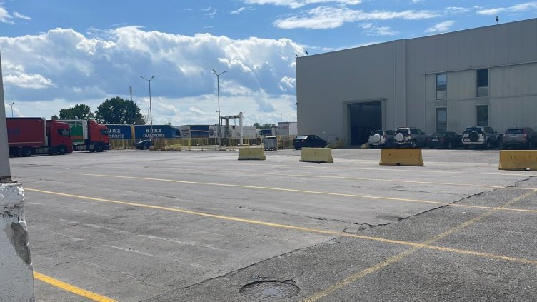 БАБХ спря вноса на 1 000 живи растения