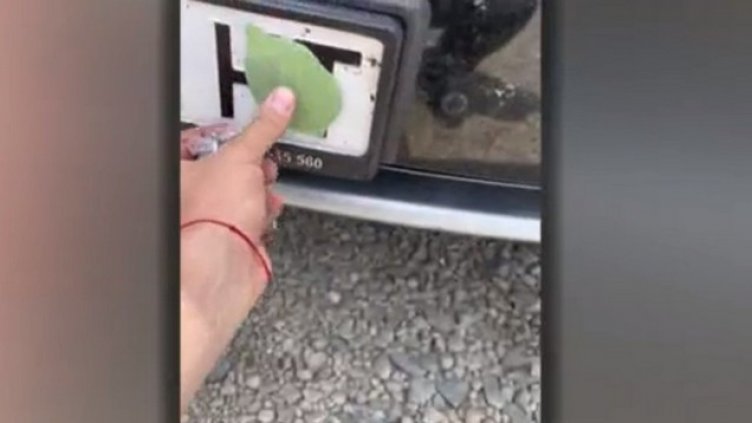 Новият трик срещу радарите – магнитно листо крие номера на колата