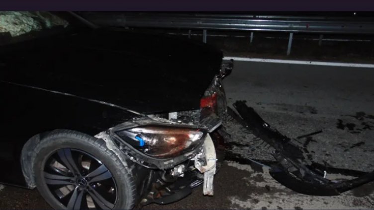 Младеж с „Мерцедес” блъсна прасе на AM „Хемус”