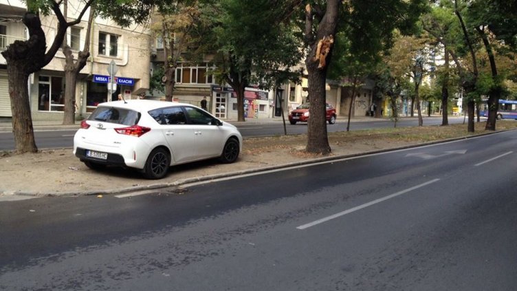 Наглост: Шофьор паркира в тревната площ между платната на бул. „Цар Освободител“