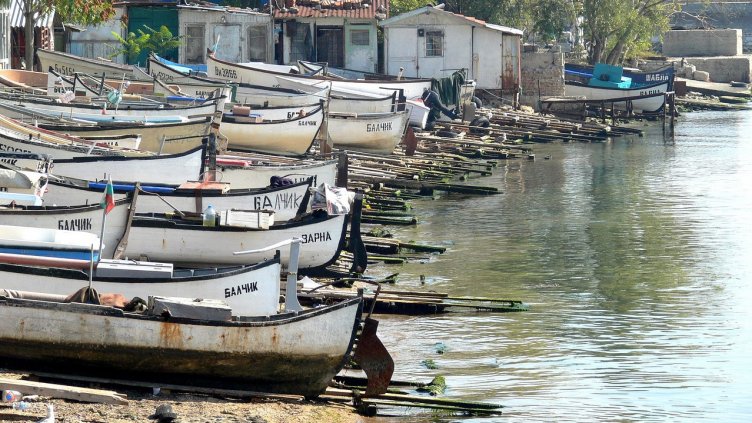 Снимка: Pixabay/divotomezove