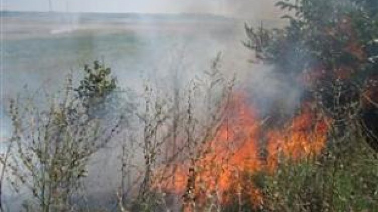 Пиян младеж подпали борова гора край Хасково