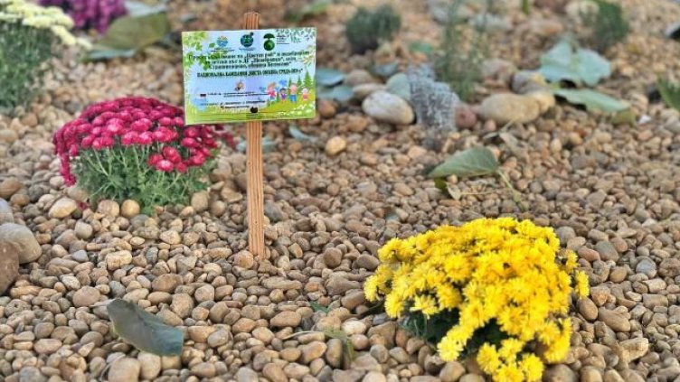 С европари: Създадоха "Цветен рай" в детска градина в Страшимирово (СНИМКИ)