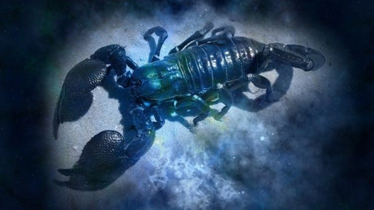 Любовен хороскоп за 17 &ndash; 23 септември 2018-а (СКОРПИОН)