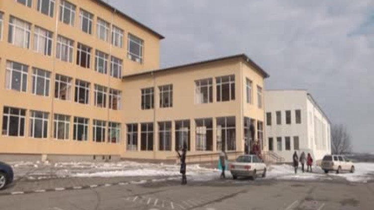 Без дървена ваканция в София