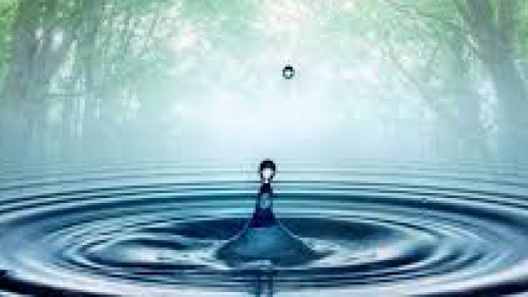 Под 2% от източниците на минерална вода в България се използват към момента