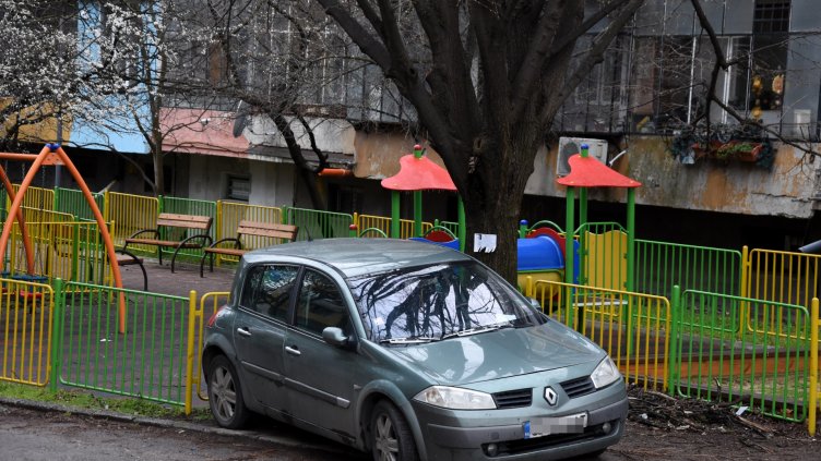 Снимка Пламен Гутинов