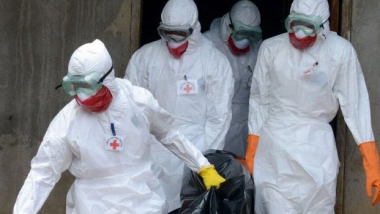 Неутрализирани са всички огнища на шарка по дребните преживни животни