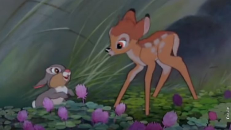 Наказаха бракониер да гледа поне 12 пъти „Бамби”