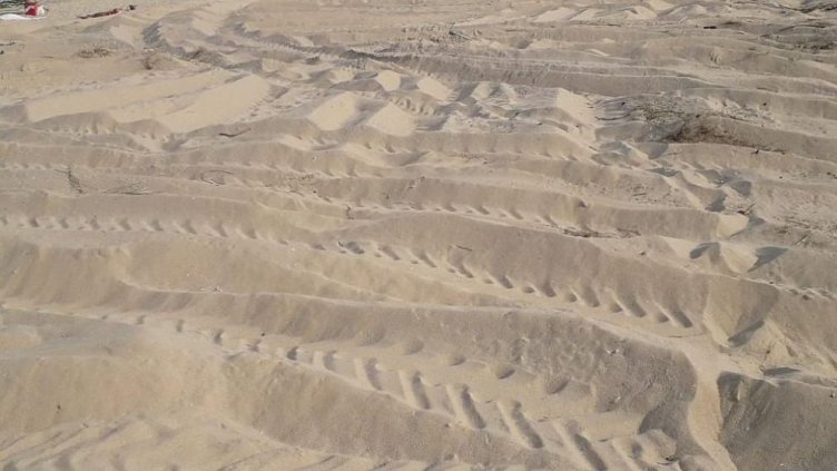 Глобиха концесионера на плаж „Смокините-север“