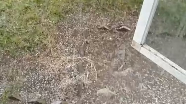 Градушки паднаха на много места у нас