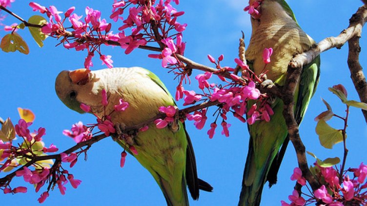 Oблачността ще намалява до предимно слънчево
