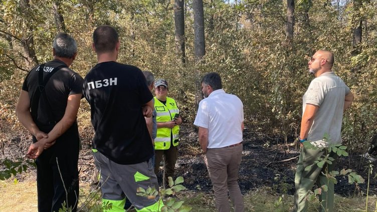 С големи усилия изгасиха пожара в Провадийско