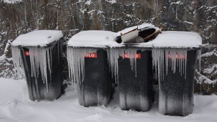 Снимка Пламен Гутинов