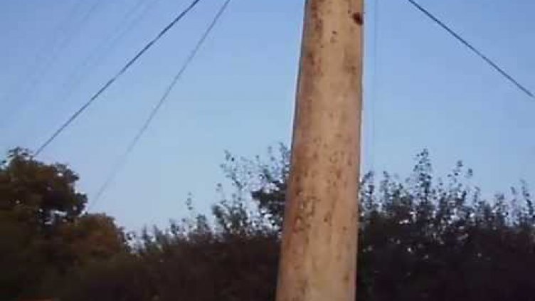 Спасиха 13-годишна, качила се на електрически стълб за селфи