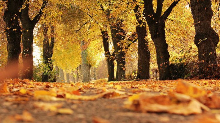 Рекордна жега в Силистра