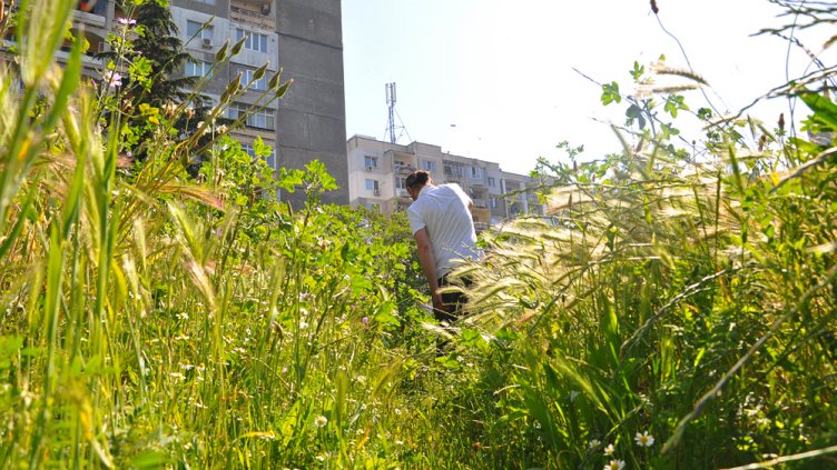 Тревата в „Приморски“ надхвърли човешки бой