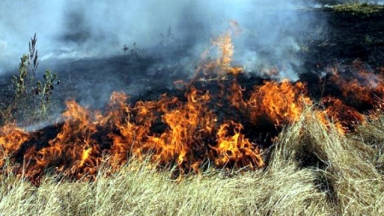 Висока опасност за пожари в 14 области на страната