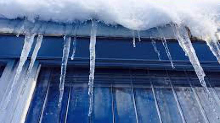 Глобиха "Пирогов" и Земеделското министерство заради непочистени висулки