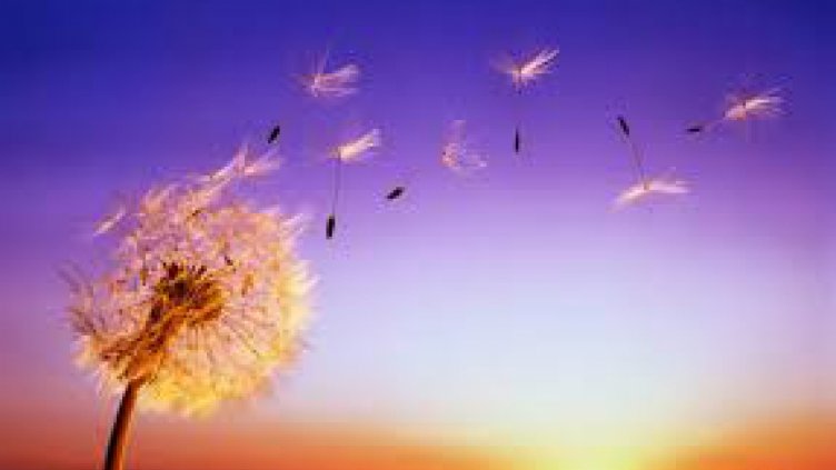 Ветровито и хладно за сезона