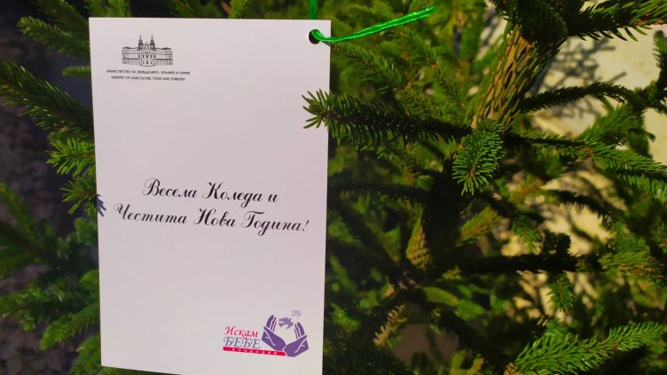 Във Варна тръгна благотворителна кампания „Посади Надежда“