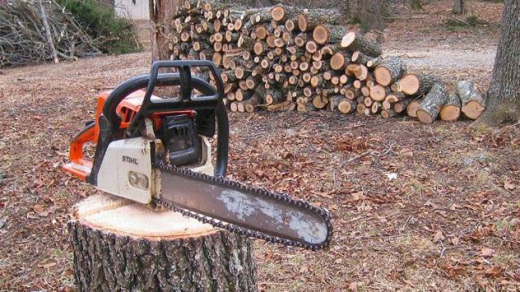 5 каруци и моторен трион са задържани от горските стражари към СИДП