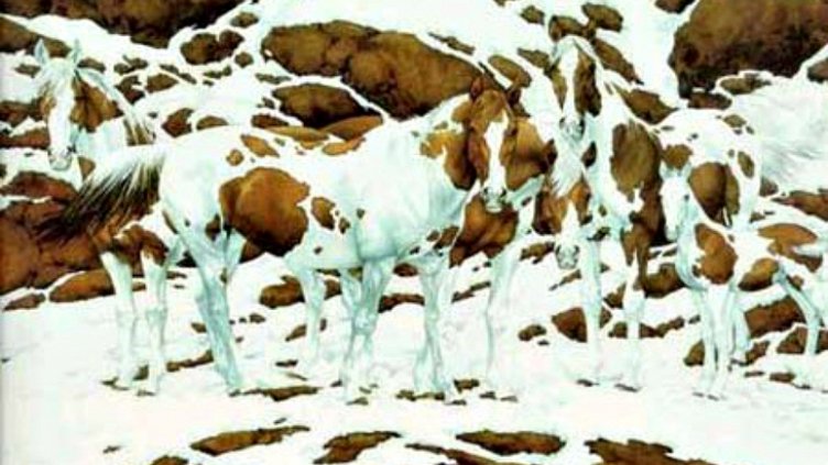 Кое виждате първо на картината?