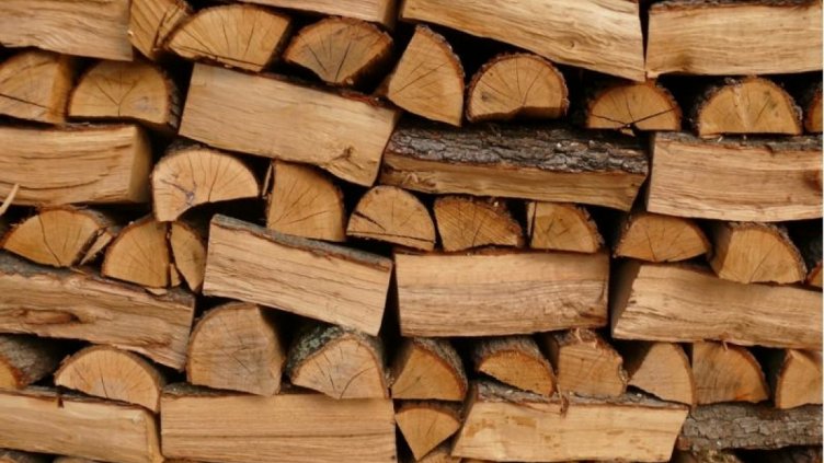 6 650 домакинства са получили вече заявените от тях дърва за новия отоплителен сезон