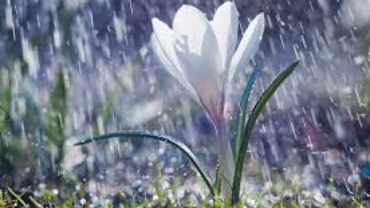 Понеделник идва с облаци, дъжд и дори градушки