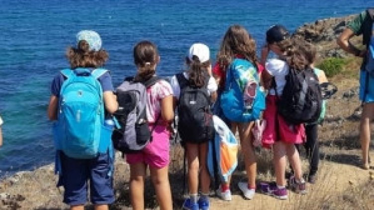 МОН го измисли. Вижте по колко деца от школо ще ходят на безплатното море