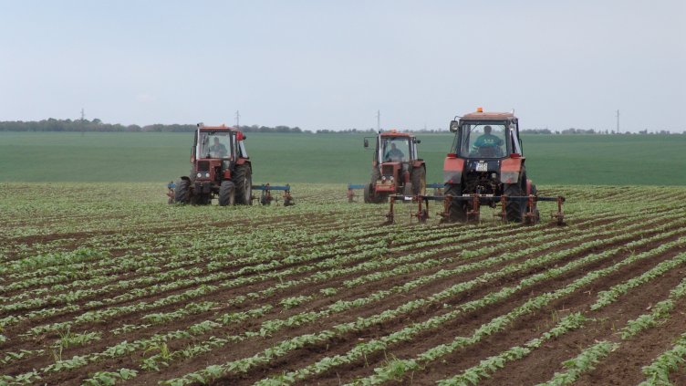 Губим нови 248 млн. евро заради нарушения в земеделието