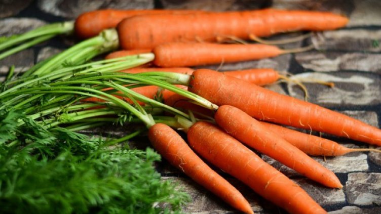 Десет любопитни факта за морковите