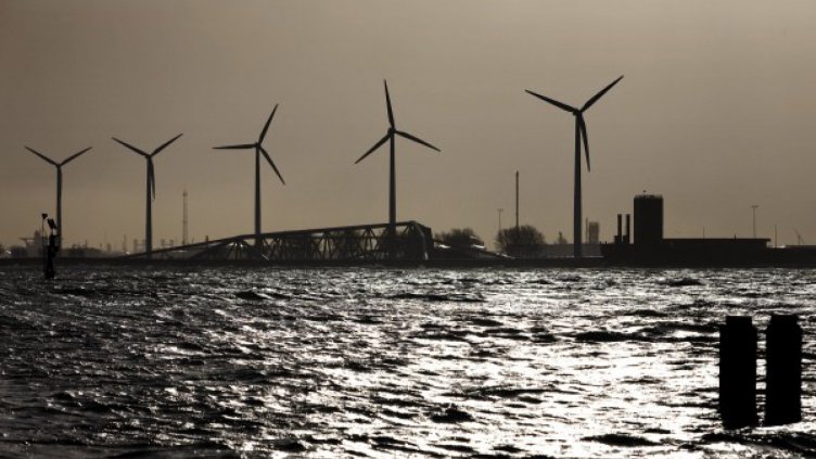 И холандците скочиха срещу перките