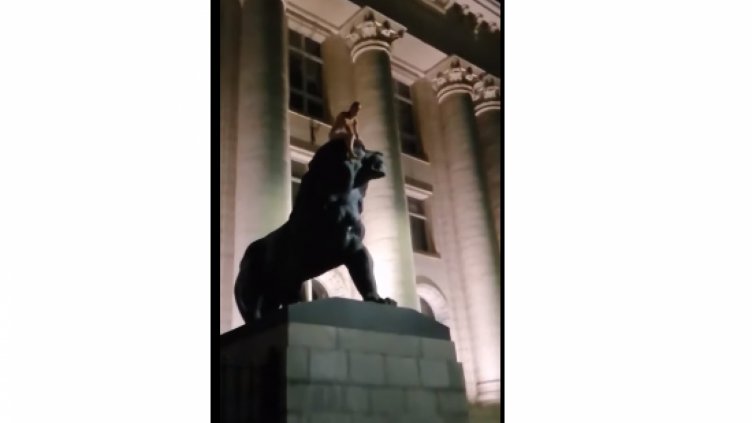 Гол мъж яхна един от лъвовете пред Съдебната палата в София (ВИДЕО)