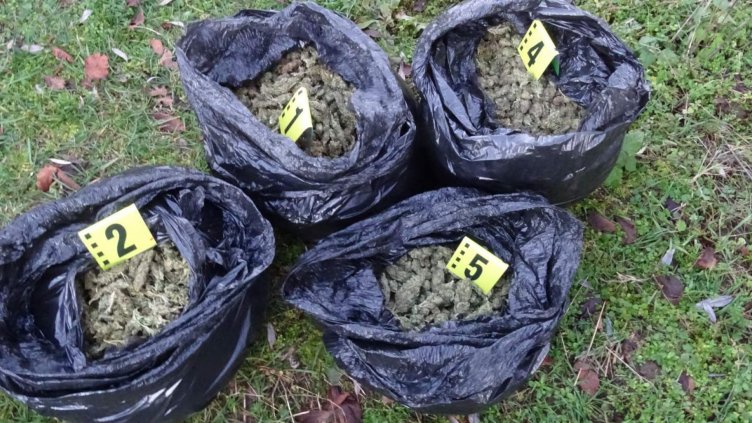 Екшън при наркосделка: Мъж стреля с Калашник по дилър, за да открадне 14 кг. трева