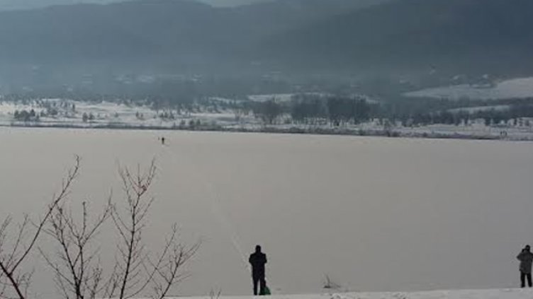 Мъж ходи по тънък лед в езеро, за да спаси лебед 